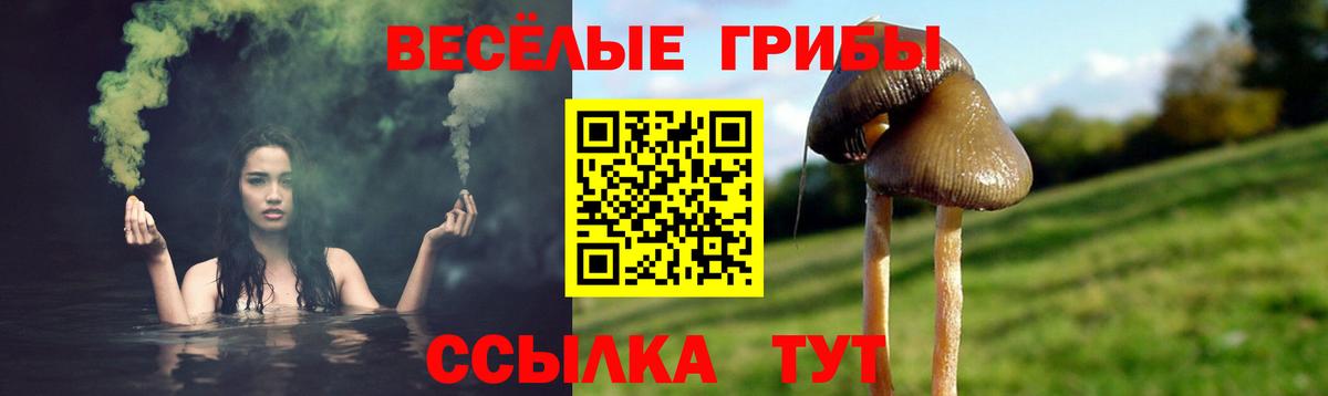 Псилоцибиновые грибы прущие грибы  Вход с VPN  Вязьма 