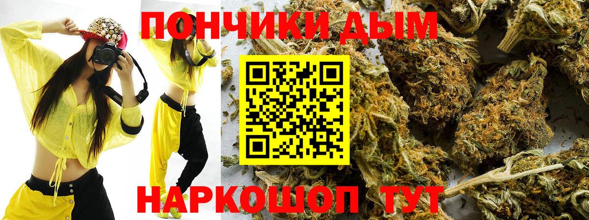 МАРИХУАНА ГИДРОПОН  Вход с VPN  Вязьма  Марихуана планчик  Каннабис White Widow 